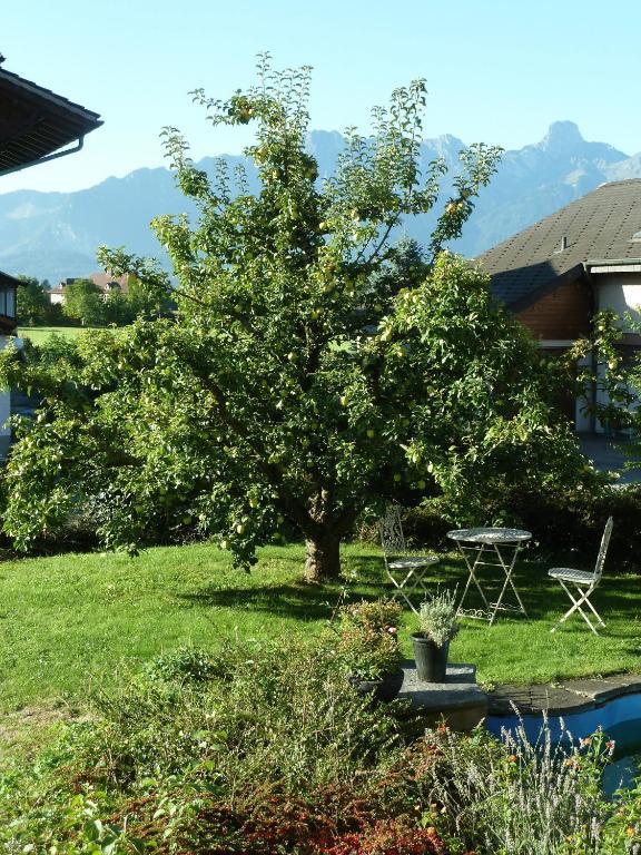 B&B Carpe Diem Steffisburg 외부 사진